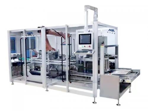 Multi-functional packing and palletizing workstation
