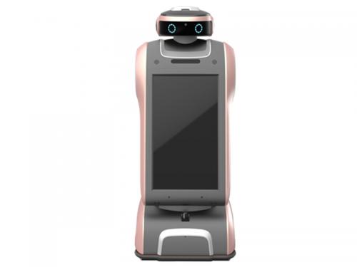 greeting robot